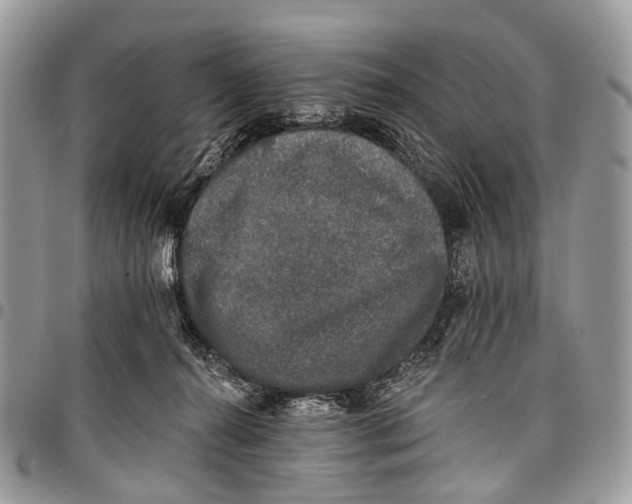 X0000097790272200803281730