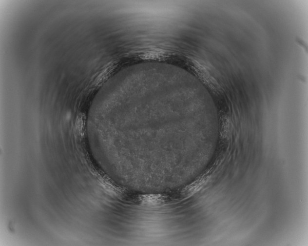 X0000097790273200803281730