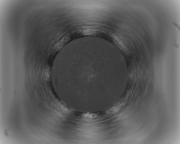 X0000097790277200803281730