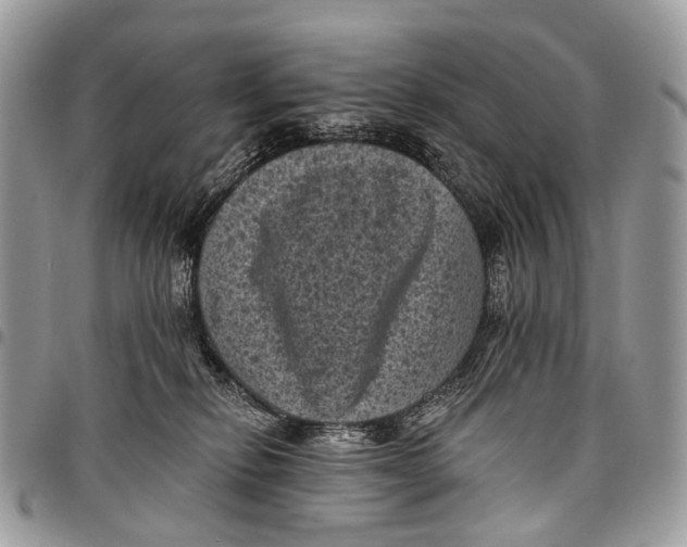 X0000097790278200803281730
