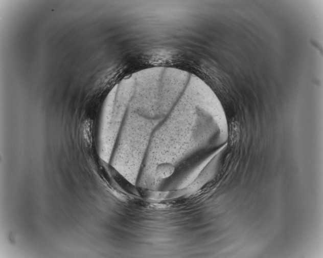 X0000097790280200803281730
