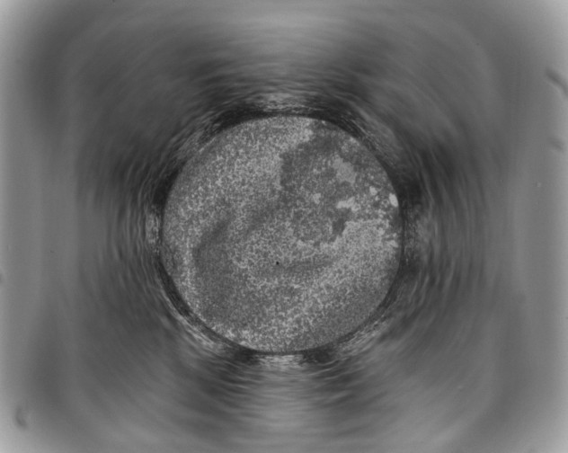 X0000097790281200803281730