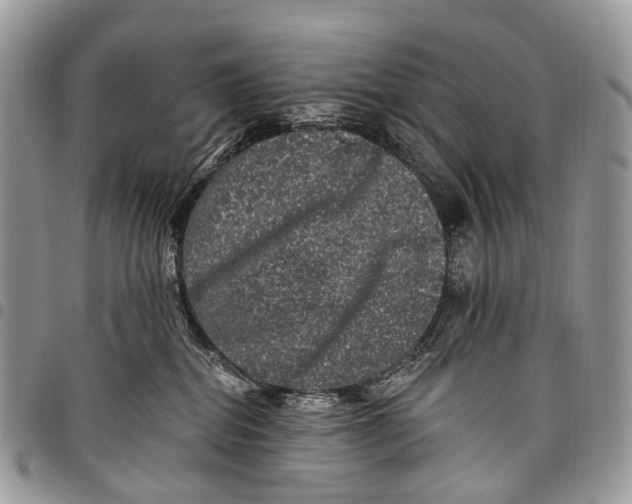 X0000097790282200803281730