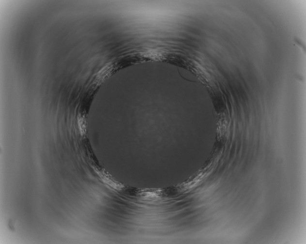 X0000097790285200803281730