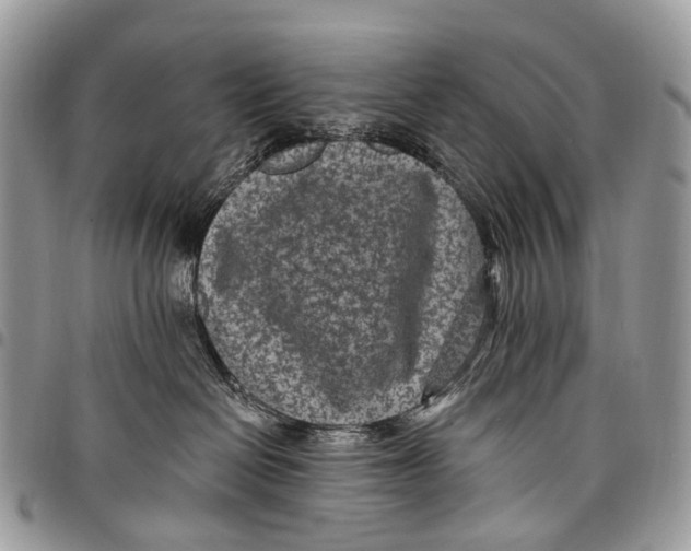 X0000097790286200803281730