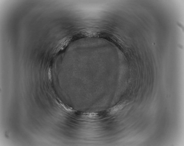 X0000097790288200803281730