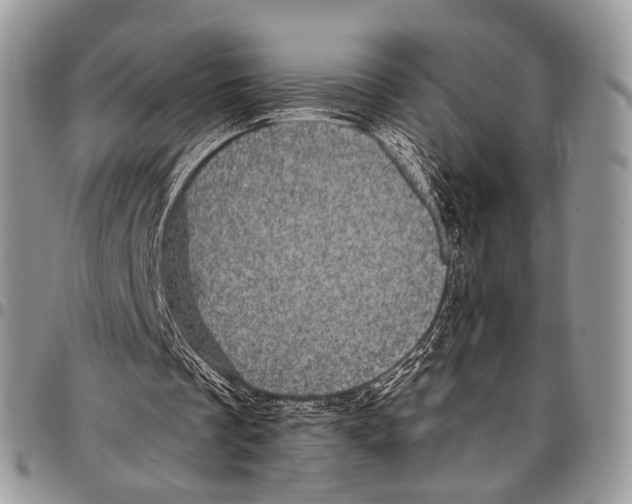 X0000097790289200803281729