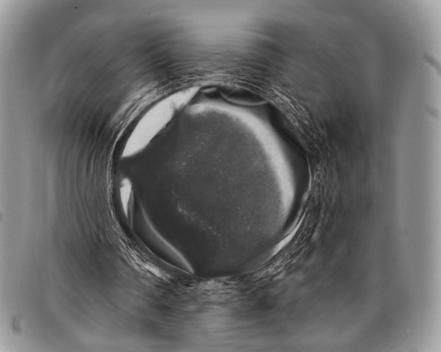 X0000097790290200803281729