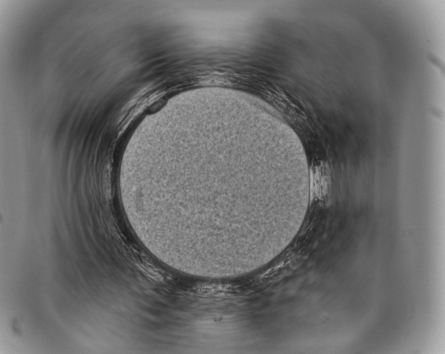 X0000097790291200803281729