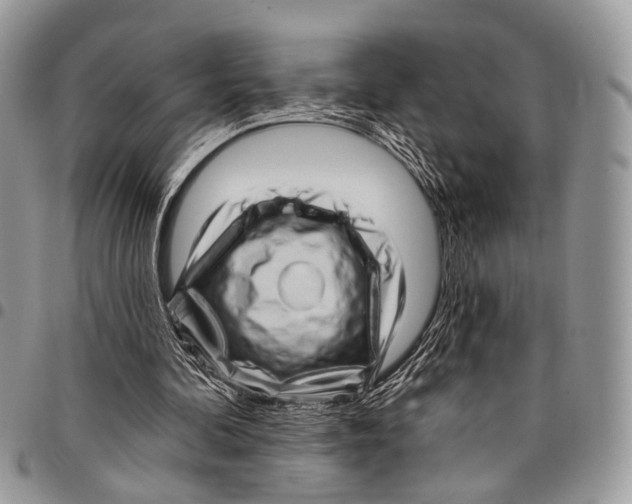 X0000097790292200803281729