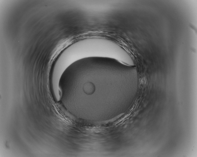 X0000097790293200803281729