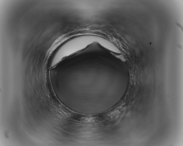 X0000097790295200803281729