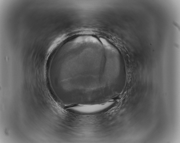 X0000097790296200803281729