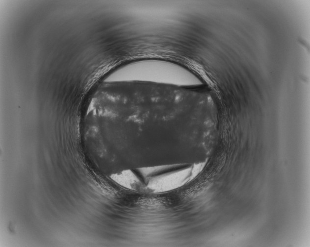 X0000097790299200803281729