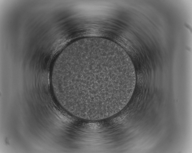 X0000097790302200803281729
