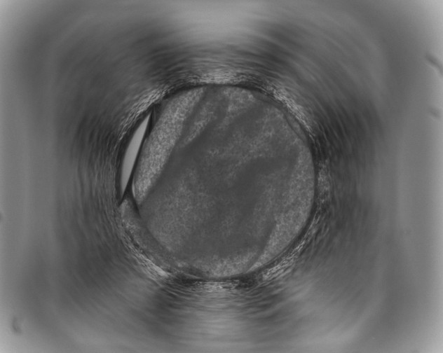 X0000097790305200803281729