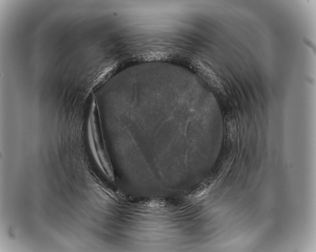 X0000097790308200803281729