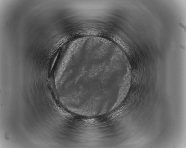 X0000097790309200803281729