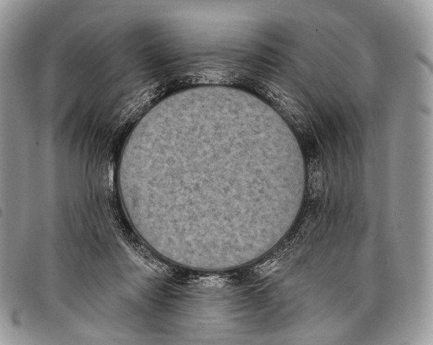 X0000097790310200803281729