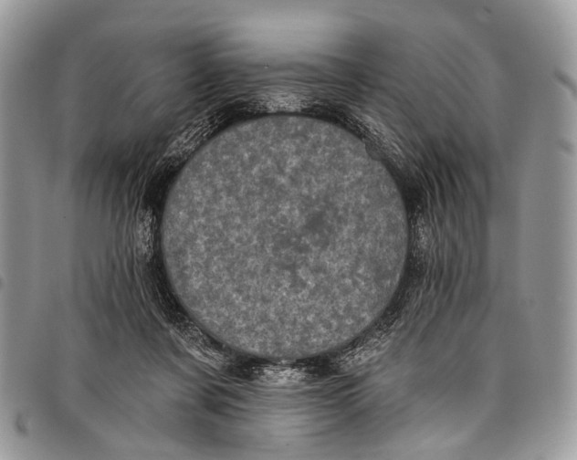 X0000097790311200803281729