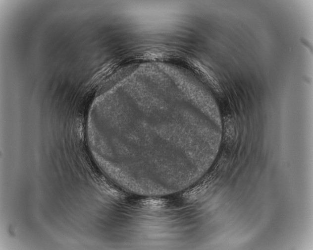 X0000097790313200803281729