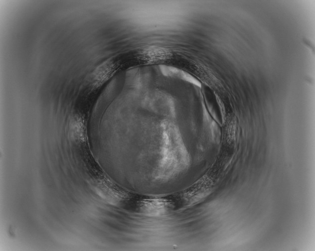 X0000097790316200803281729