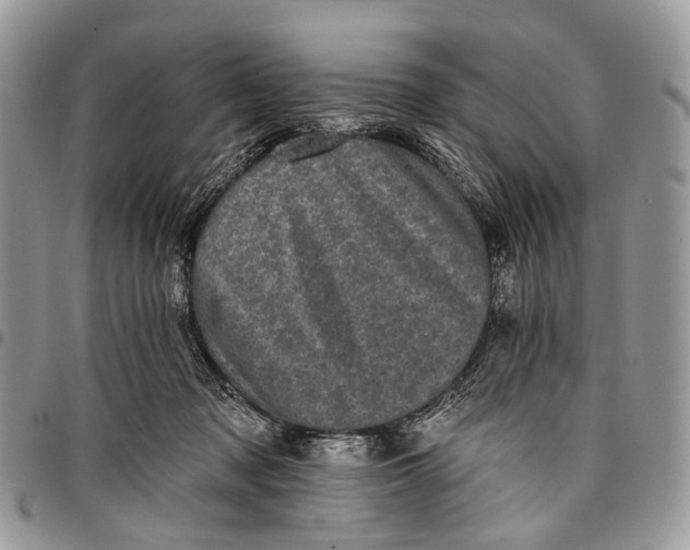 X0000097790317200803281729