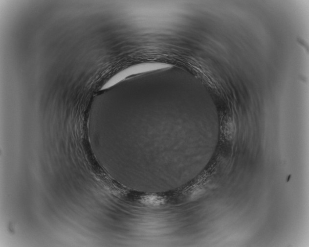 X0000097790319200803281729