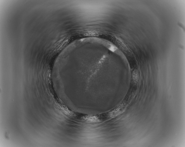X0000097790322200803281729