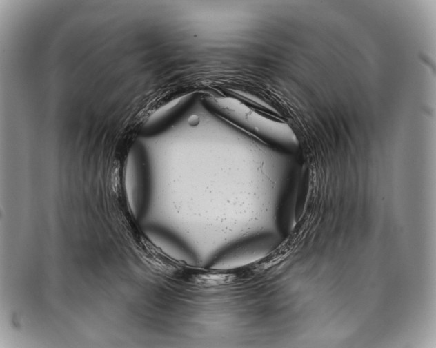 X0000097790323200803281729