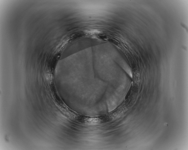 X0000097790324200803281729