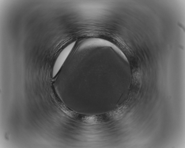 X0000097790325200803281729
