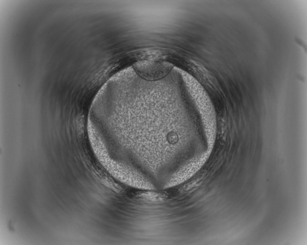 X0000097790326200803281729