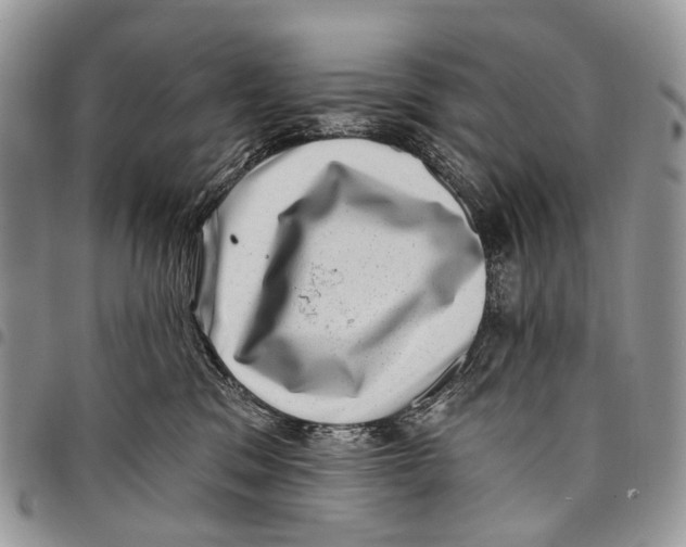 X0000097790329200803281729