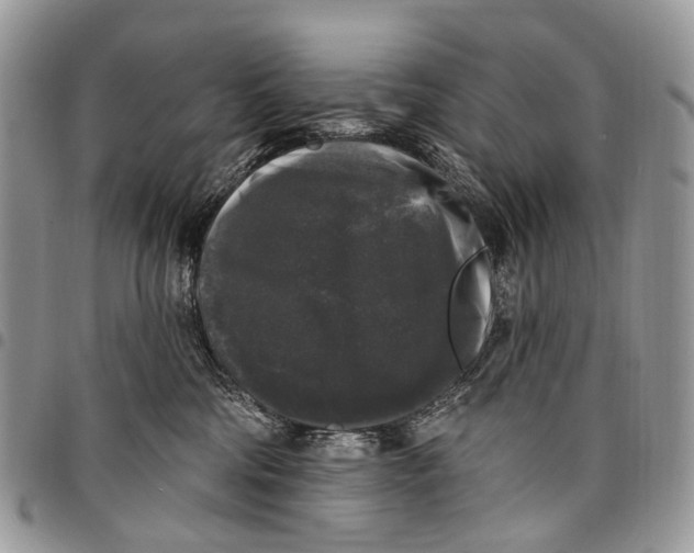 X0000097790330200803281729