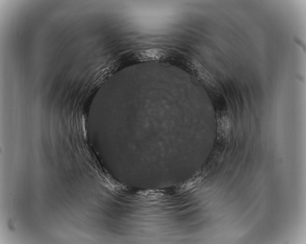 X0000097790331200803281729