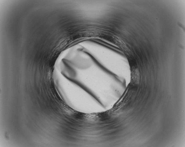 X0000097790333200803281728