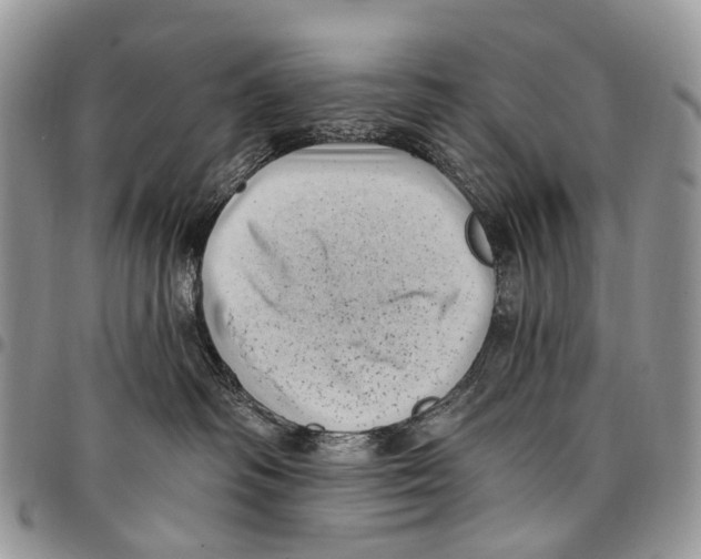 X0000097790334200803281728