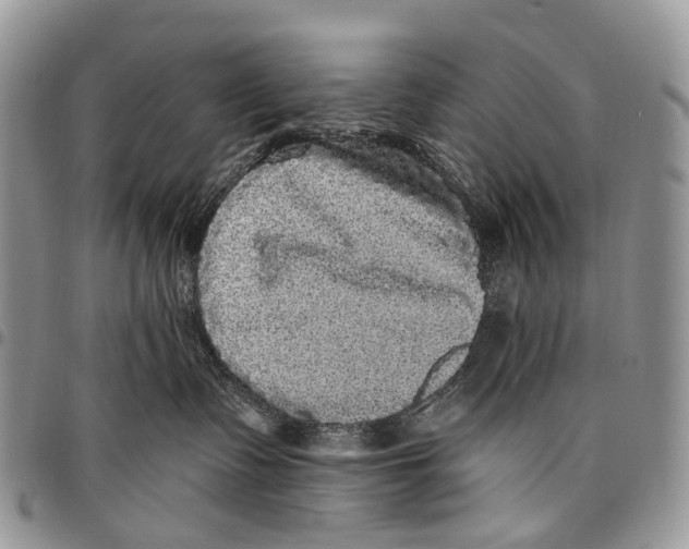 X0000097790335200803281728