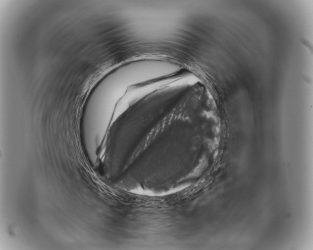 X0000097790337200803281728