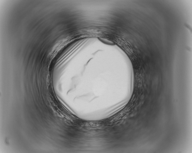 X0000097790338200803281728