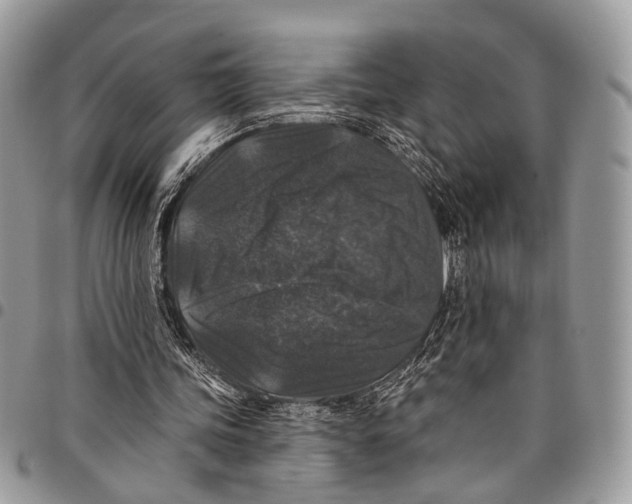 X0000097790339200803281728