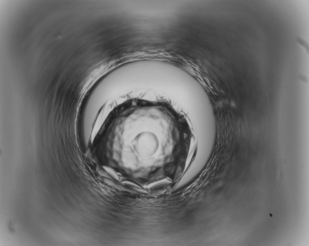 X0000097790340200803281728