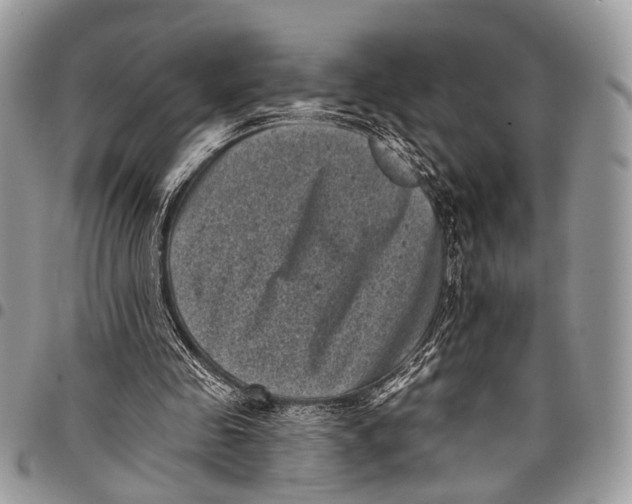 X0000097790341200803281728