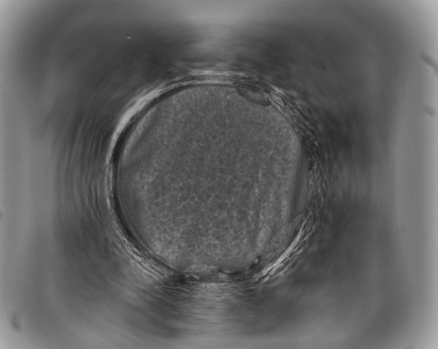 X0000097790342200803281728