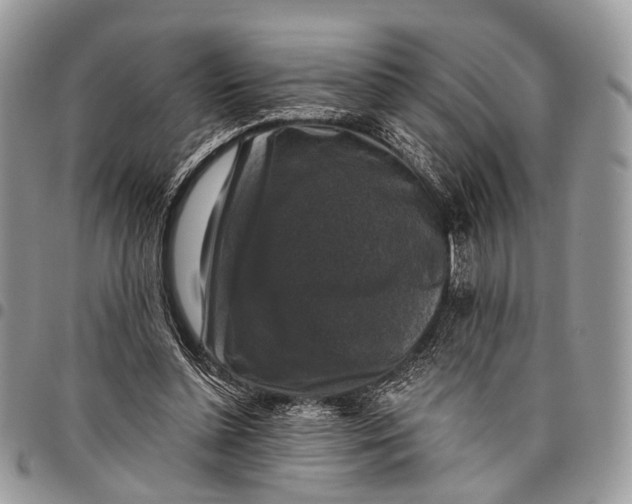 X0000097790348200803281728