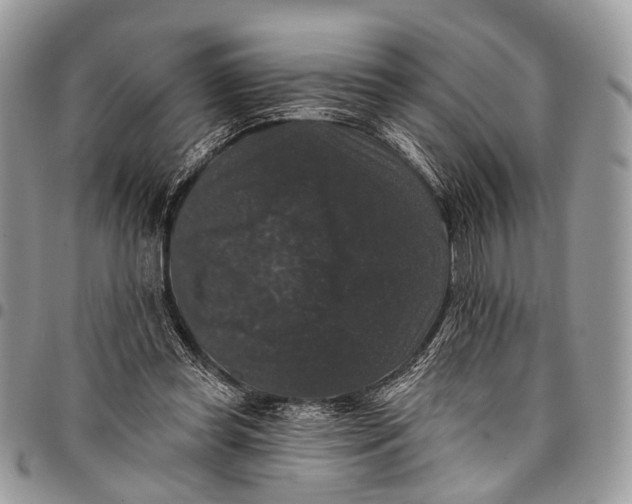 X0000097790349200803281728