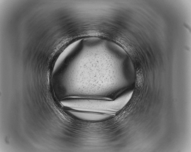 X0000097790350200803281728
