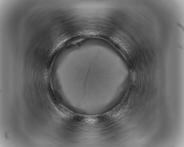 X0000097790352200803281728
