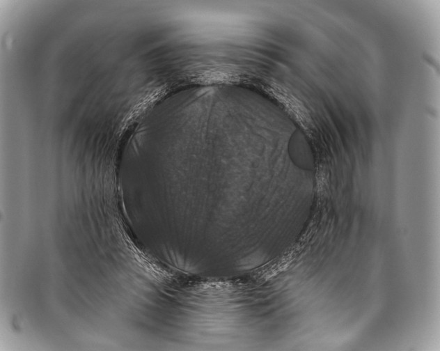 X0000097790353200803281728